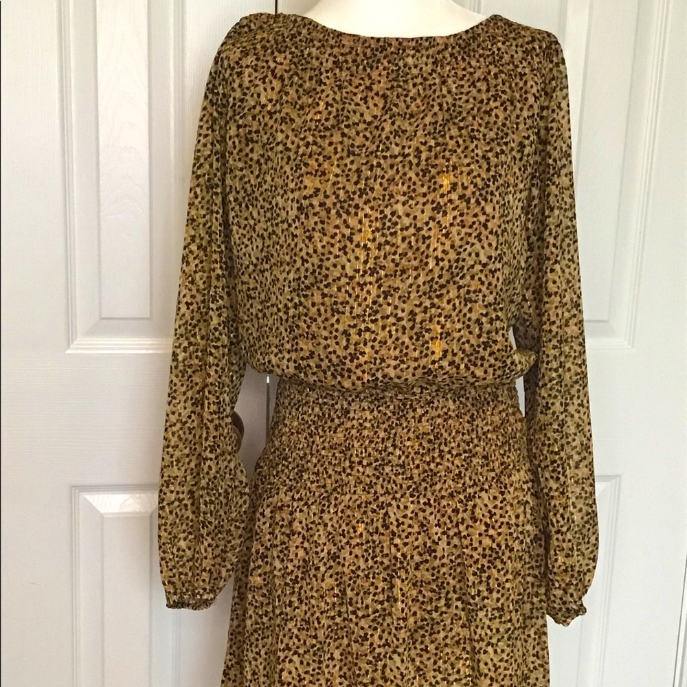 BNWOT Never Worn Metallic Scrunched Flowy Dress